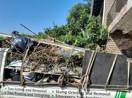 Trusted Rhinelander, WI Junk Removal Services Experts